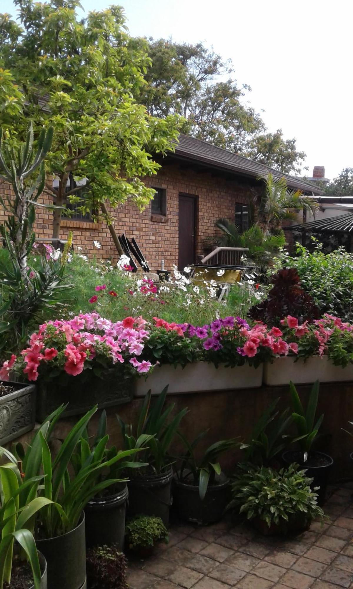 Marlin Cottage 친트사 객실 사진